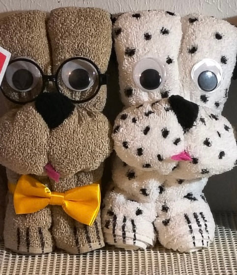 Paw-fect Towel Puppy Gift Set – Handmade Decorative Dog Towels